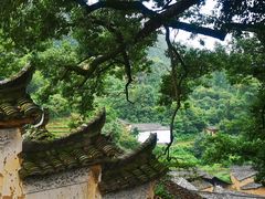-杨家堂村