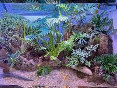 -上海海洋水族馆