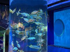 -海合安青岛极地海洋公园