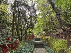 -梦姑塘文化公园