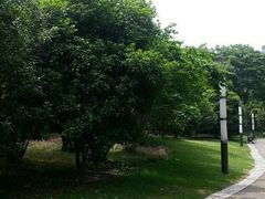 android_upload_pic-苏州河梦清园环保主题公园