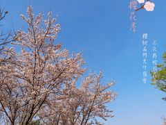 -径山花海