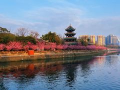 -望江楼公园