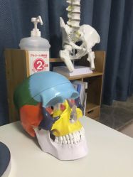 点击看大图 -FACE·日本小颜矫正美容整骨サロン