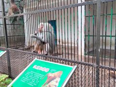 -广东茂名森林公园