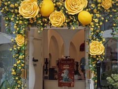 -杜哈夫DOUX RÊVE·生日蛋糕(日月光店)
