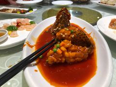 松子桂鱼-阿英煲(凉城路店)