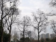 -滨湖塘西河公园