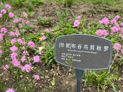 -国家植物园