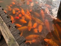 -通安客栈中餐厅·何家小馆