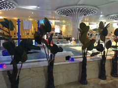 -水晶之星洗浴温泉汗蒸