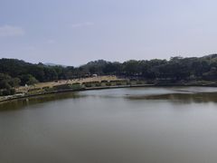 -东莞植物园