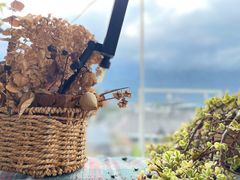 -唐咖精品咖啡(大理古城手冲店)