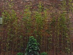 -大韩民国临时政府（长沙）活动旧址