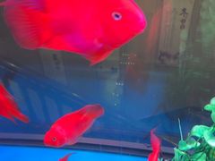 -臻享养生·SPA·影院式足道(汇臻店)