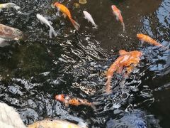 -上海大自然野生昆虫馆(东方明珠·爬宠昆虫探索中心)