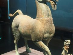 -广西壮族自治区博物馆