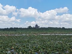 -上海海湾国家森林公园