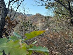 -玉渡山自然风景区