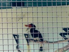 -九龙公园