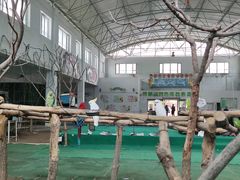-哈尔滨北方森林动物园