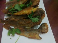 -烁佳海鲜大馅饺子
