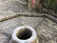 -上海佘山国家森林公园天马山园