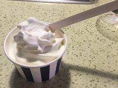 -JW德国冻酸奶Frozen Yogurt(龙湖成都滨江天街店)