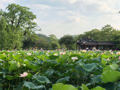 -惠州西湖丰渚园