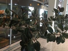 -南昌昌北国际机场