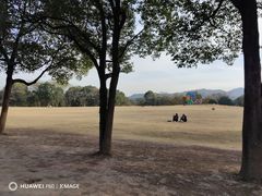 -西溪国家湿地公园