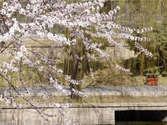 景点-元大都城垣遗址公园