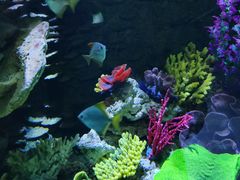 -海合安青岛极地海洋公园