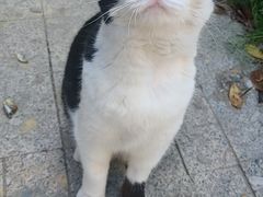 -一一刀削面(书院路店)