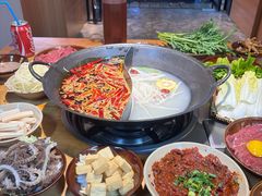 -阳阳老火锅(小南门店)