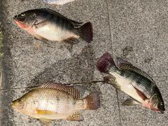 -中影国际影城(华发商都CINITY店)