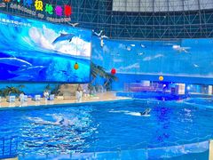 -泉城欧乐堡海洋极地世界