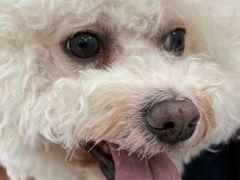 -纳吉亚猫专科动物诊疗中心(蒋宅口分院)