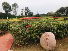 -铁山坪森林公园