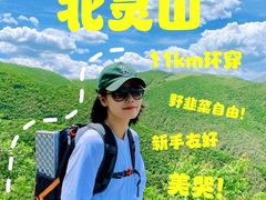-灵山