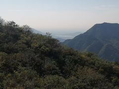 -大岭沟猕猴桃谷风景区