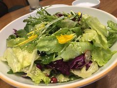 -一轩饺子馆(丽都店)