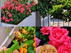 -浅深Cheersum(曹杨店)