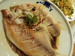 -富瑶大酒店(强工二街店)