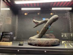 -drivepro(三里屯店)