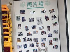 -瑞派中心宠物医院·CT·核磁·神经专科