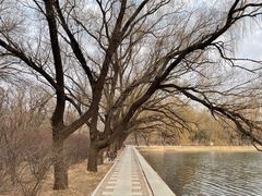 -北陵公园