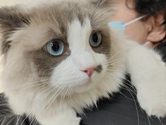 -美联众合动物医院·24h京西诊疗中心