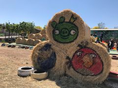 -北京鹿世界主题园