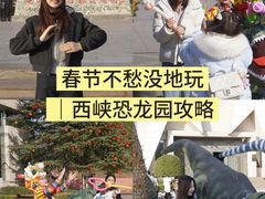 -中国西峡恐龙遗迹园